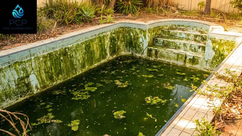 Severely neglected green pool with dark opaque water and visible algae growth on walls and surface